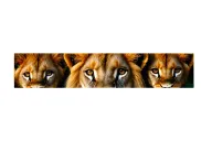 lioness lion and 2 cubs face only tattoo design idea