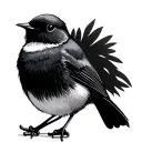 Willy Wagtail tattoo design idea