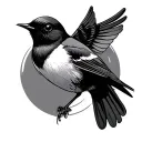 Willy Wagtail tattoo design idea