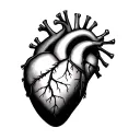 ANATOMY OF HEART tattoo design idea