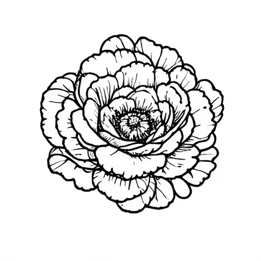 ranunculus tattoo design idea