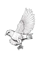 kea bird flying bird tattoo design idea