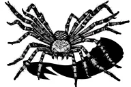 spider with lace tattoo design idea