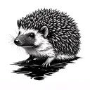 Hedge hog, Andes Range Mountains and Lakes, Universe, Cosmology, Abstract tattoo design idea