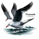 seagull with the name vivianette  tattoo design idea