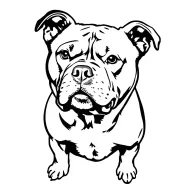 American pitbull terrier standing proud tattoo design idea