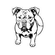 American pitbull terrier standing proud tattoo design idea