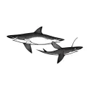 Two fox sharks tattoo design idea