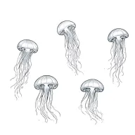 three small jellyfish swimming to the right tattoo design idea