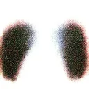 two wolves looking at each other. standing opposite and looking at each other tattoo design idea