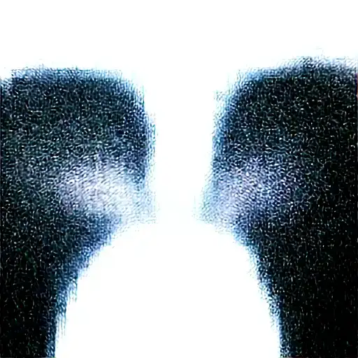 two wolves looking at each other. standing opposite and looking at each other tattoo design idea