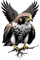 Red Tailed Hawk tattoo design idea