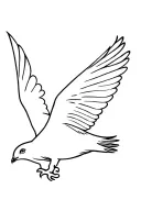 kea bird flying bird tattoo design idea