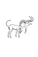 zodiac sign Aries and Taurus tattoo design idea