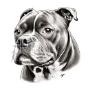 blue staffy tattoo design idea