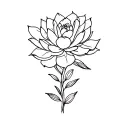 succulent tattoo design idea