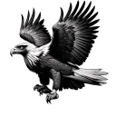 Wedge Tailed Eagle tattoo design idea