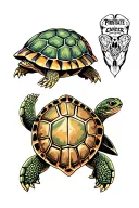 Prostate Cancer turtle tattoo design idea