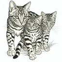 bengal cats tattoo design idea