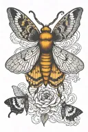 moth metamorphosis stages tattoo design idea