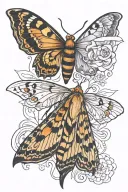 moth metamorphosis stages tattoo design idea