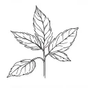 basil tatoo minimal line art tattoo design idea