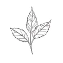 basil tatoo minimal line art tattoo design idea