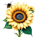 "Abby"  sunflower and a bumble bee tattoo design idea