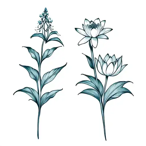 larkspur and water lily side by side with crossing stems  tattoo design idea