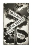 2 empty Polaroid pictures, street sign that says Los Salados, coordinates of Santiago de Los Caballeros, Dominican Republic tattoo design idea