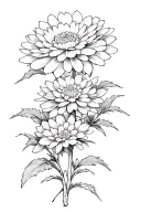 Chrysanthemum in Japanese style, large sketch, with small details tattoo design idea