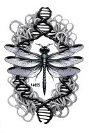 dragonfly with DNA strands around it the number 14855 on a wing tattoo design idea