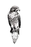 realistic red tailed hawk tattoo design idea