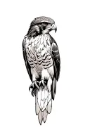 realistic red tailed hawk tattoo design idea