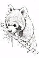 red panda bamboo tattoo design idea