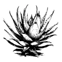 agave plant tattoo design idea