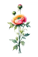 Ranunculus tattoo design idea