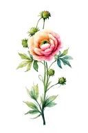 Ranunculus tattoo design idea