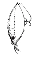 fishing lure surrounded tattoo design idea