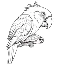 I require one that contains a macaw and a turtle in Costa Rica tattoo design idea