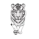 a tiger tattoo design idea