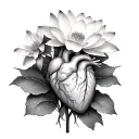 multiple white nelumbo nucifera flowers with a  anatomically accurate heart laying on them tattoo design idea