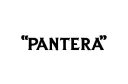 "Pantera " tattoo design idea