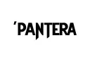 "Pantera " tattoo design idea