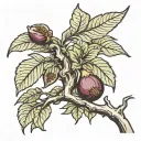Micah 4:4, Fig tree intertwined tattoo design idea
