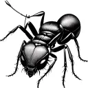 ant biting animated skin tattoo design idea