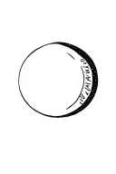 Waxing Crescent Moon and word incipit tattoo design idea