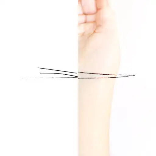 Half Czech half Slovakia tattoo design idea