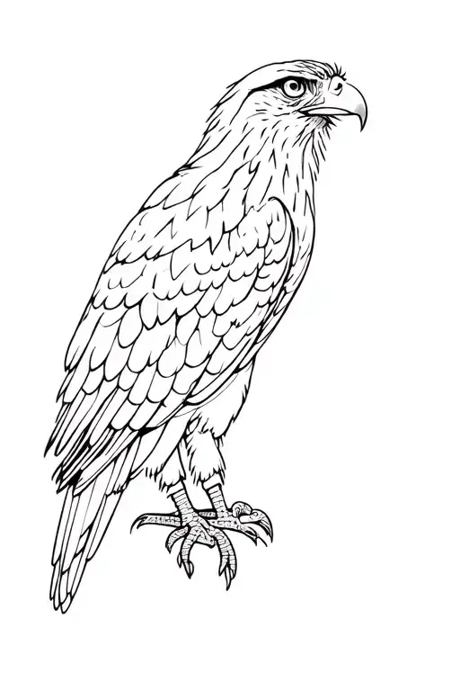 hawk with norwegian, swedish, danish, scottish, irish, welsh, german, swiss, polish, czech, Scandinavian,  and lithuania tattoo design idea
