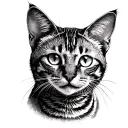 Space Bengal cat tattoo design idea